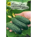 Огурец Директор F1 СЕМ (5сем.)