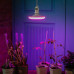 Лампа светодиод. для раст. Форма «UFO», мат. LED-U150-16W/SPSB/E27/FR PLP30WH 