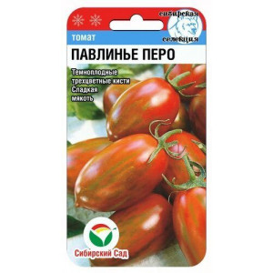 Томат Павлинье перо (Сибсад)
