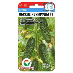 Огурец Обские изумруды F1 (7сем.) (Сиб сад)(10)