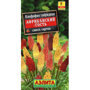 Книфофия Африканский гость, смесь окрасок 30шт Ц
