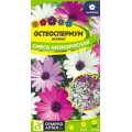 Остеоспермум Смесь низкорослая/Сем Алт/цп 0,1 гр