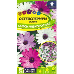 Остеоспермум Смесь низкорослая/Сем Алт/цп 0,1 гр