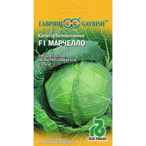 Капуста Марчело F1 (Голландия) 10сем (Г) среднесп.
