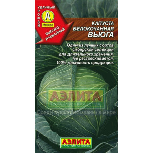 Капуста Вьюга (0,3г.) Ц позднесп.