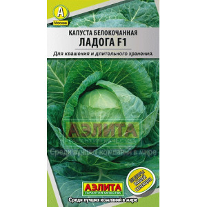 Капуста Ладога Ц