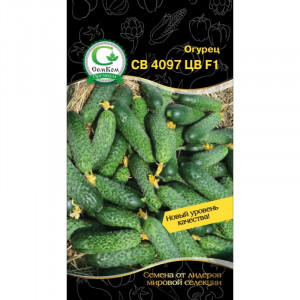 Огурец СВ 4097 ЦВ F1 (Seminis) 10шт СемКом	