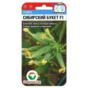 Огурец Сибирский букет F1 (7сем.)(Сиб сад)(10)