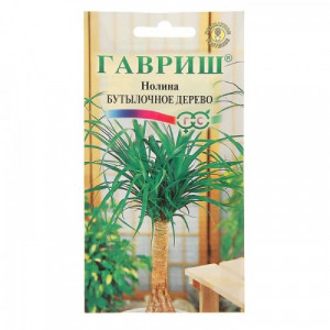 Нолина Бутылочное дерево 3 сем.(Г)