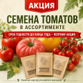 Семена АКЦИЯ 100руб