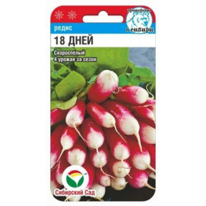 Редис 18 дней (2 гр.) (Сиб Сад)(10)