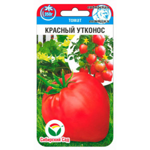 Томат Красный Утконос 20шт (Сиб Сад)