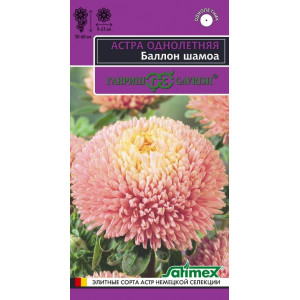 Астра Баллон шамоа, однолетняя (густомахровая)* 0,05  г (Г)