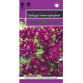 Астра Трубадур темно-пурпурный 0,05 г  (Г)