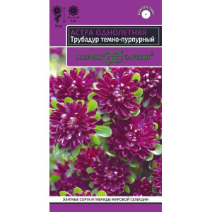 Астра Трубадур темно-пурпурный 0,05 г  (Г)