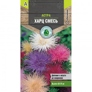Астра Харц смесь 0,2 г (Тимирязевский питомник)