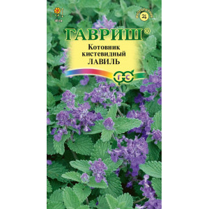 Котовник кистевидный Лавиль 0,03 г Г