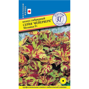 Колеус Фейерверк Мозаика F1, 10шт.(ПР)