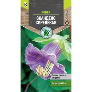 Кобея Сканденс сиреневая 0,3 шт (Тимирязевский питомник)