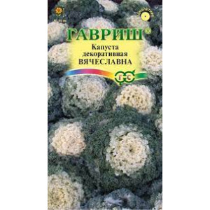 Капуста декоративная Вячеславна* 0,1 г