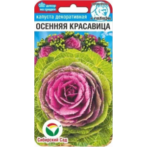 Капуста декоративная Осенняя красавица 10шт (Сиб Сад)