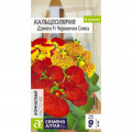 Кальцеолярия Дэинти Черевички смесь 3шт (АЛТ) комнат