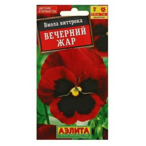 Виола Вечерний жар (0,1гр)