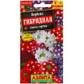 Вербена гибридная , смесь Ц