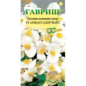 Бегония вечноцветущая Сенатор Вайт F1 4 сем. (Г)