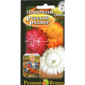 Гелихризум Русский размер НК
