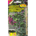 Гиацинтовые бобы Фиолетовые гирлянды (1г.)