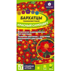 Бархатцы Красный самоцвет (АЛТ)