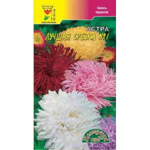 Астра Лучшая срезка 1 (ЦВ)