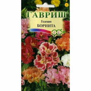 Годеция Борнита*0,1г.(Г)