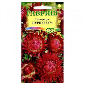 Гелихризум Пурпуреум*0,1г.(Г)