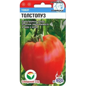 Томат Толстопуз (20сем.) (Сиб сад)(10)