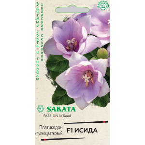 Платикодон Исида F1, 4 шт. (Г)