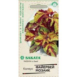 Колеус Файервей Мозаик 5 шт (Г)