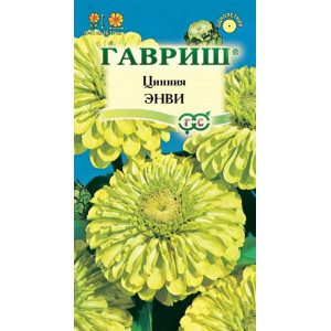 Цинния Энви 