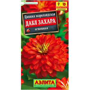 Цинния Дабл Захара огненная (5 сем.)