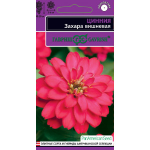 Цинния Захара вишневая 5шт.серия Эксклюзив.(Г)