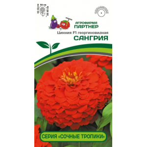 Цинния САНГРИЯ (4шт)  ПАРТНЕР
