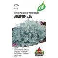 Цинерария Андромеда (приморская)* 0,05 г Уд. с. (Г)