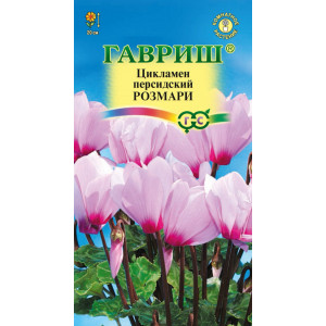 Цикламен перс. Розмари*3сем.(Г)