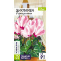 Цикламен Розмари мини/Сем Алт/цп 3 шт.