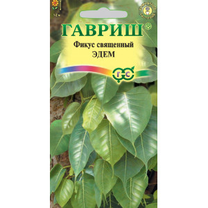 Фикус священный Эдем*0,03г(Г)