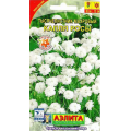 Тысячелистник Капля росы махровый (0,1гр.)