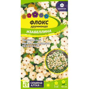 Флокс Изабеллина Друммонда/Сем Алт/цп 0,1 гр.