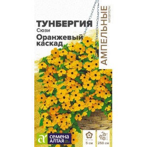 Тунбергия Сюзи Оранжевый каскад крылатая/Сем Алт/цп 4 шт