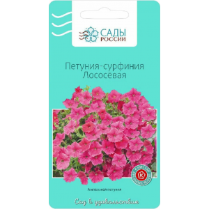 Петуния-Сурфиния лососевая 5шт (Сады России)